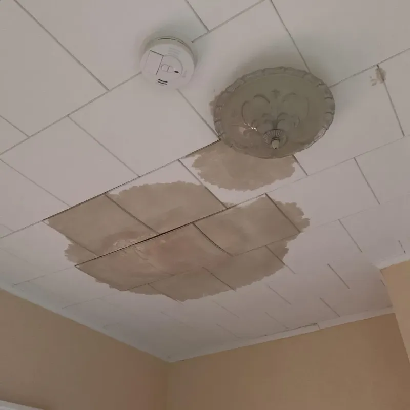 Ceiling Water Damage Repair in Sandy Hills, UT